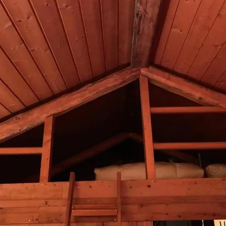 Magic Ski-in-and-out Above Verbier 木屋 Bagnes